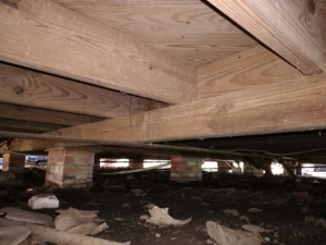 Beams under a home with smalls holes and powder